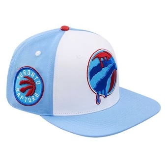 Toronto Raptors Pro Standard Ice Cream Drip Snapback Hat - Blue