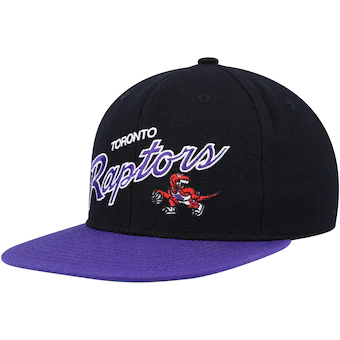Toronto Raptors Mitchell & Ness Team Script 2.0 Fitted Hat - Black/Purple